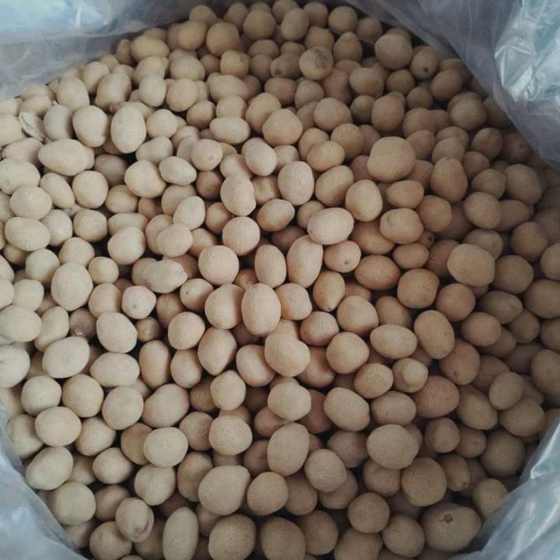 Kacang Atom Oven SP