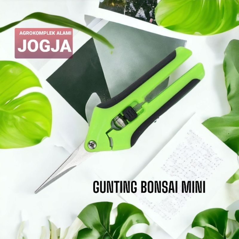 Gunting Kebun Mini Pemotong Ranting Tumbuhan Bunga Bonsai