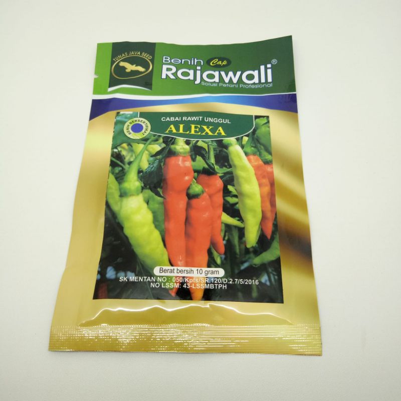 Biji, benih, bibit cabai, cabe rawit setan Alexa rajawali