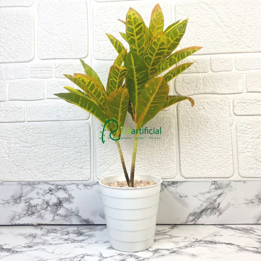 Pohon Daun Puring Worten X2 T50 Semi Latex Artificial Pot Ulir Putih Pajangan Hiasan Ruangan Rumah