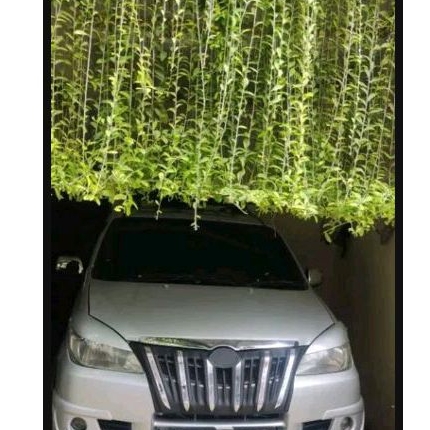 Grill Avanza_Xenia Old model Apollo