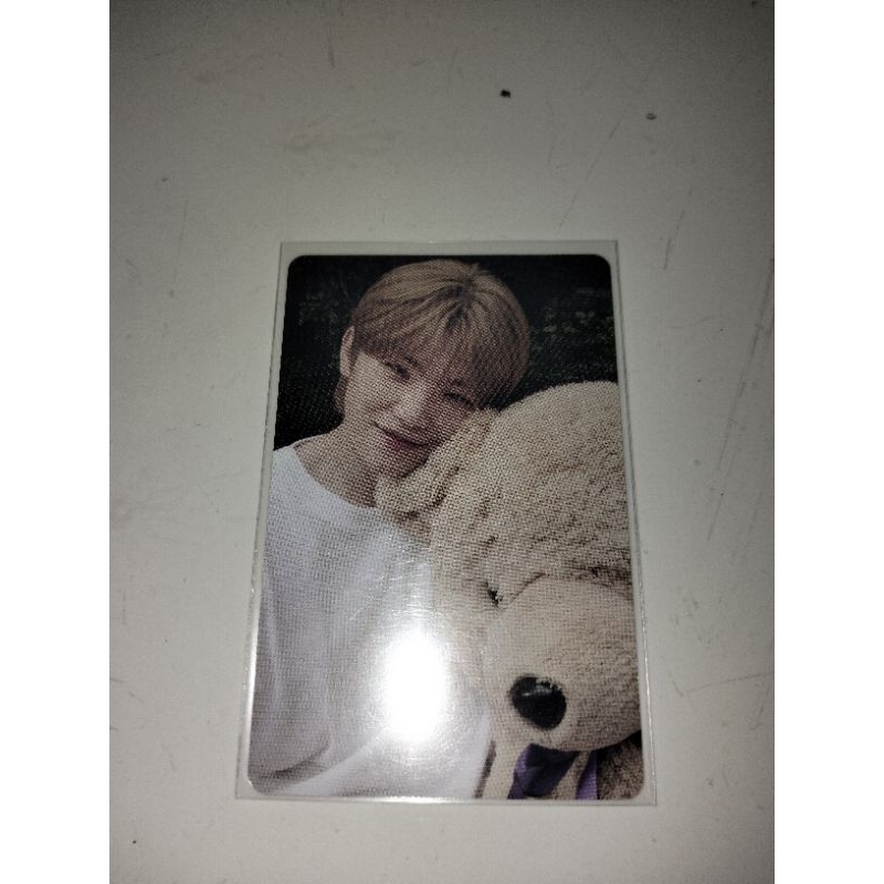 dicon Teddy Hoshi - woozi