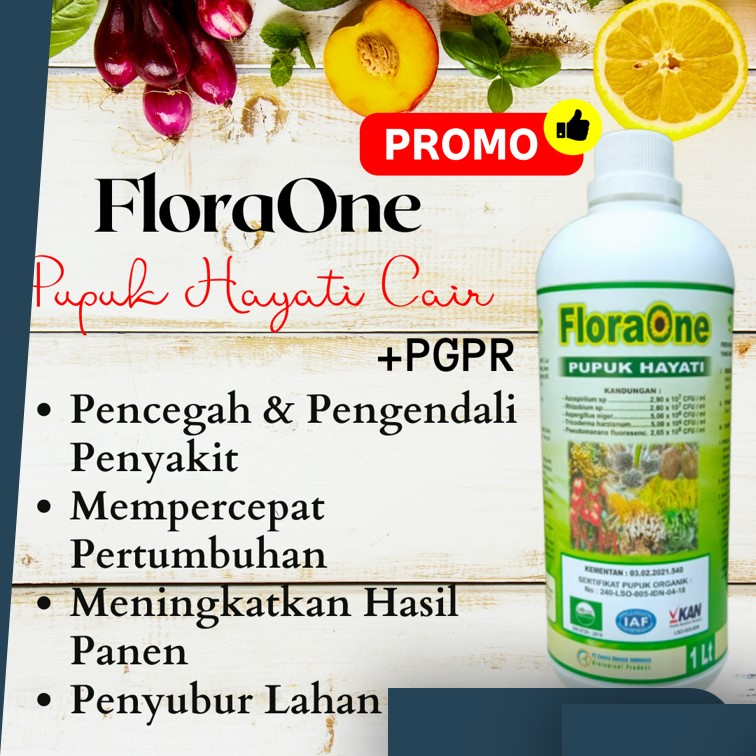 Pupuk PGPR Anti Layu Semua Tanaman, PUPUK HAYATI Buah Dan Sayur, Pupuk Cair Fase Pertumbuhan Terbaik