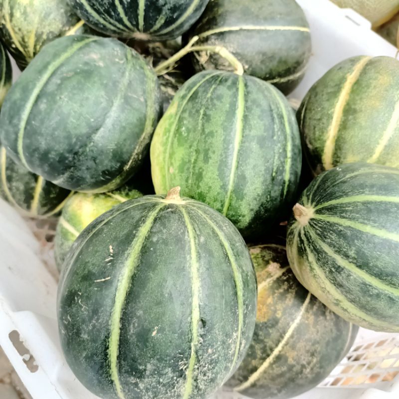 

Buah blewah 1 buah fresh
