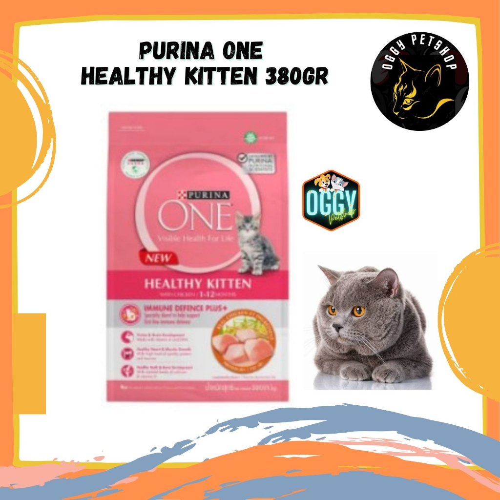 Makanan Kering Anak Kucing | Purina ONE Healthy Kitten 380gr