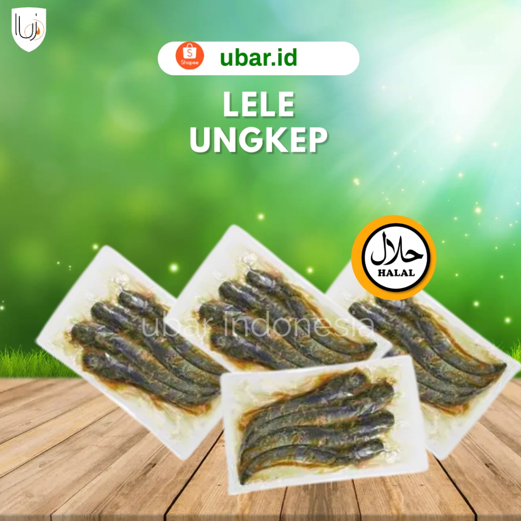 

Ikan Lele Bumbu Kuning Siap Goreng