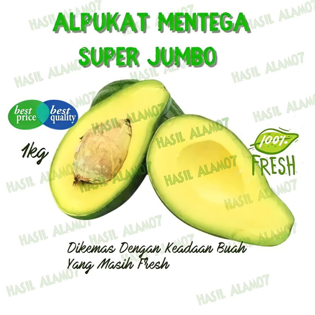 

Buah Alpukat Mentega Super Jumbo Fresh Fruits Segar 1 Kg