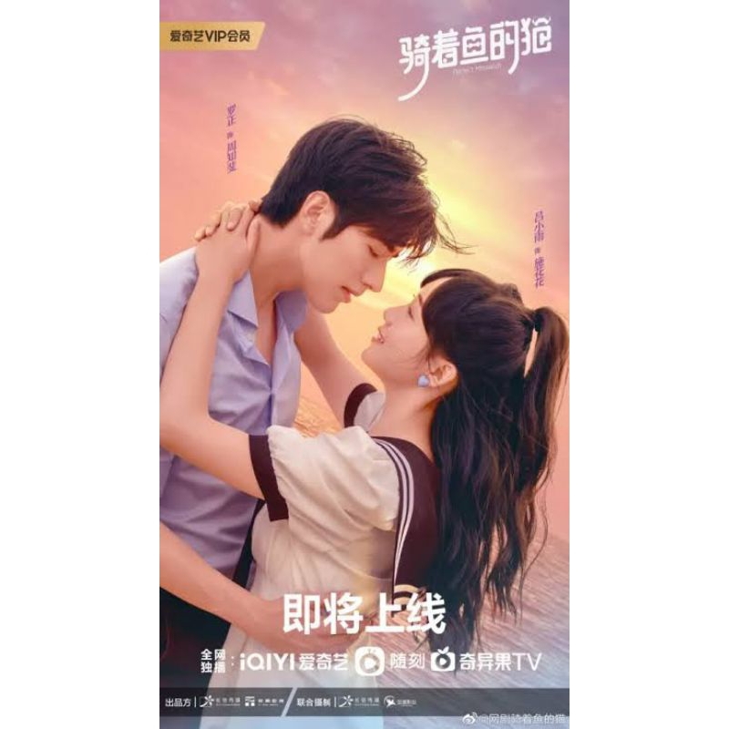 Serial Drama Mandarin: PERFECT MISMATCH