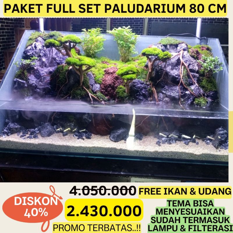 PALUDARIUM FULLSET UK 80 CM HIASAN AQUARIUM PROMO TERBATAS