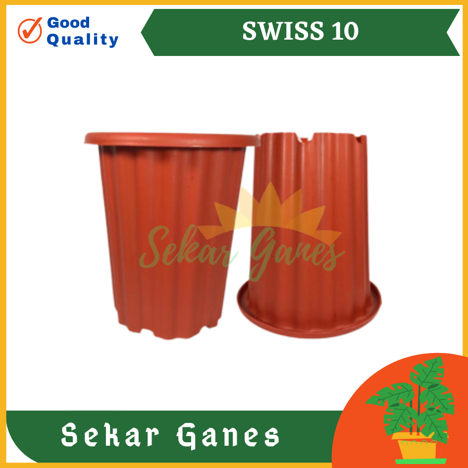 Sekarganes Pot Swiss 10 Merah Bata Coklat Pot Yogap 10 13 15 Coklat Merah Bata Bening Transparan Pot Yogap 17 18 19 Pot Yogap Murah Pot Bunga Tinggi Pirus Tegak Bagus Tebal