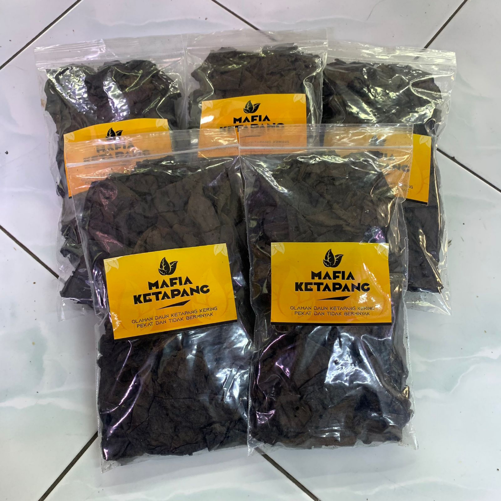 MAFIA KETAPANG (DAUN KETAPANG KERING BY GINAN AQUATIC)