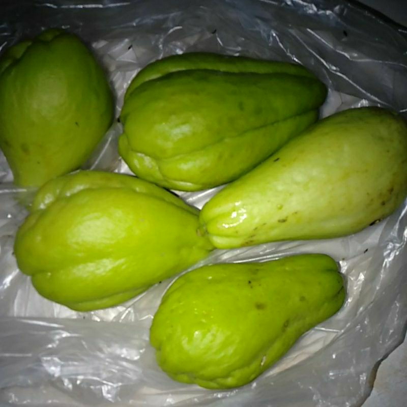 

Baby Labu Siam Jipang Gondes segar