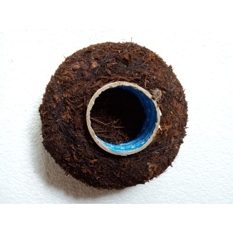 MEDIA TANAM/ANGGREK/PLATYCERIUM