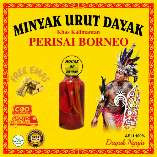 Minyak Urut Dayak 100% Asli Akar Kayu Terbaik Kalimantan Rajanya Minyak Urut Dayak Traditional