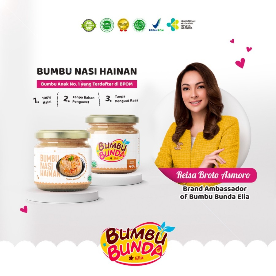 Bumbu Bunda Bumbu Nasi Hainan / Bubuk Non MSG Pengawet Anak MPASI