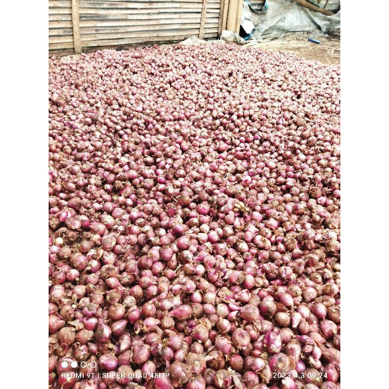 

bawang merah lokal batu bali karet grosir murah (5-20kg)