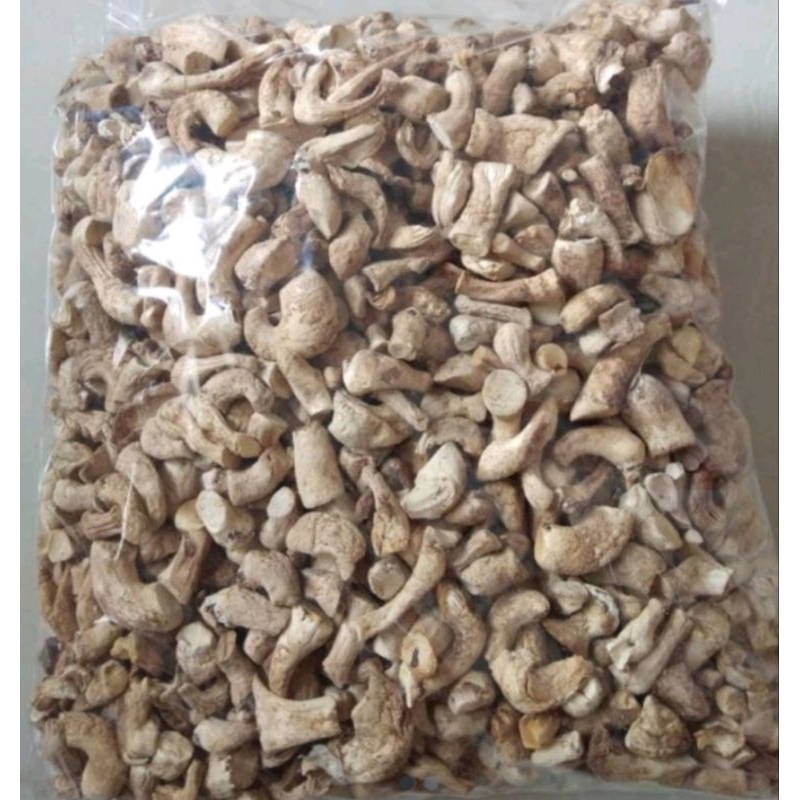 

KAKI JAMUR KERING