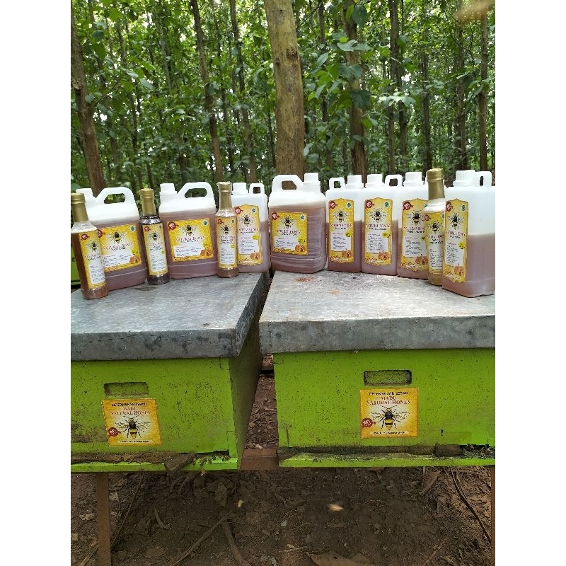 Madu Natural honey/ madu Mentah /Madu raw Honey /