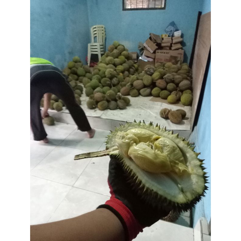 

Durian lokal