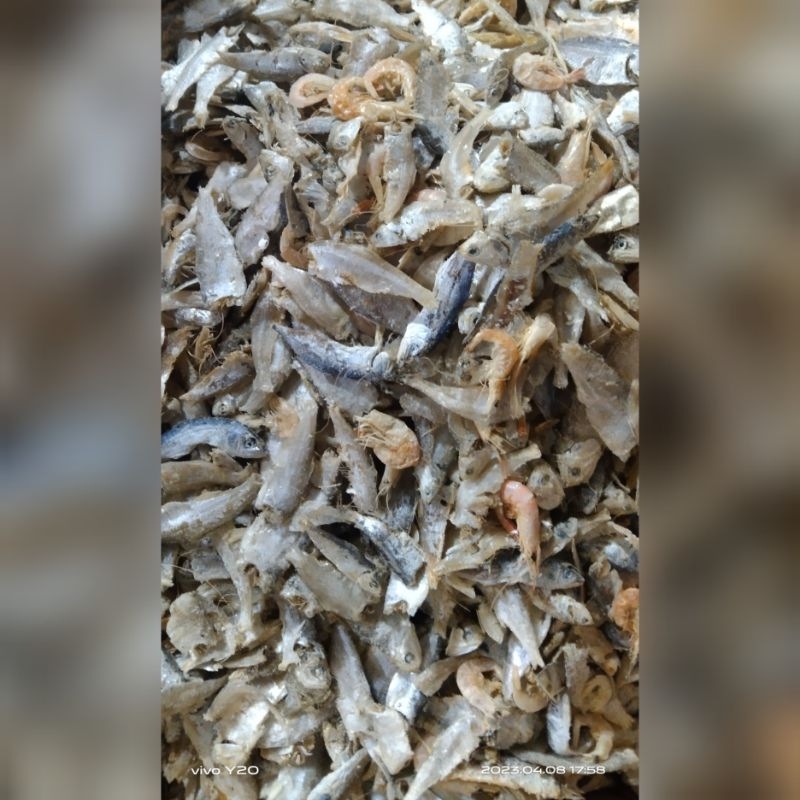 

ikan sampah pilihan ,ikan campur 250 grm