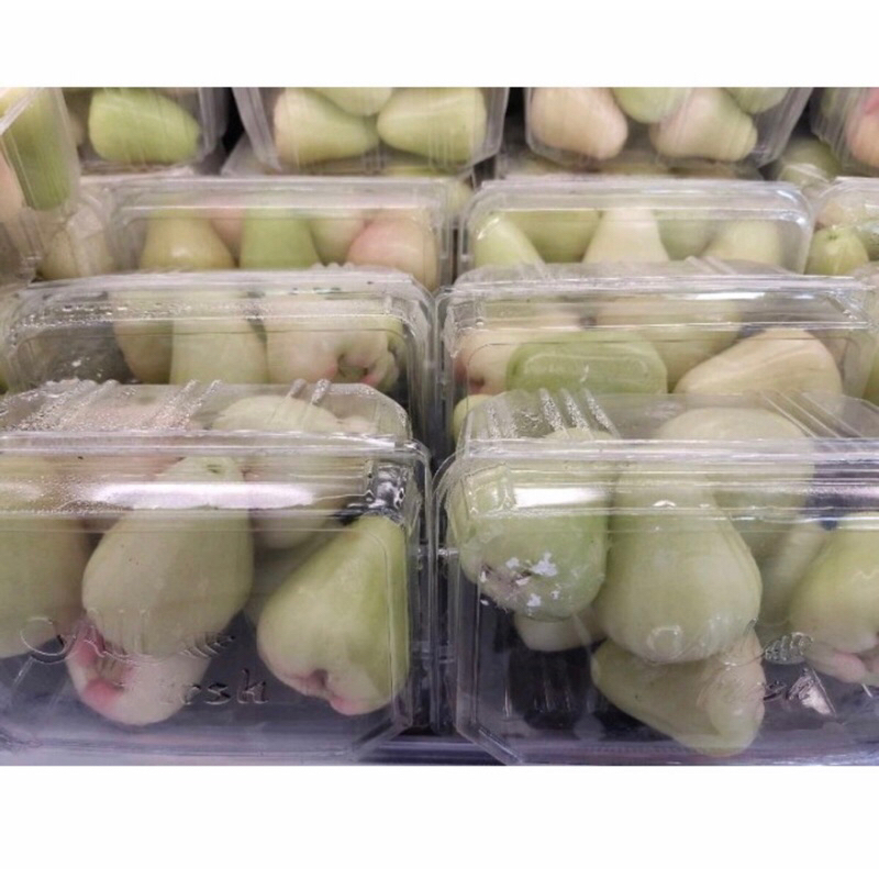 

Jambu Jade Rose Hijau Segar 1 Kg