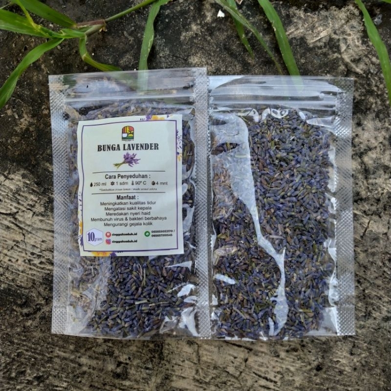 

Teh bunga lavender kering | lavender | lavender wangi || kemasan 10 gram