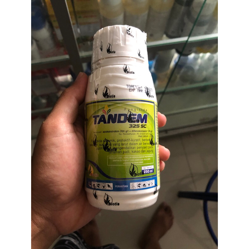 fungsida tandem