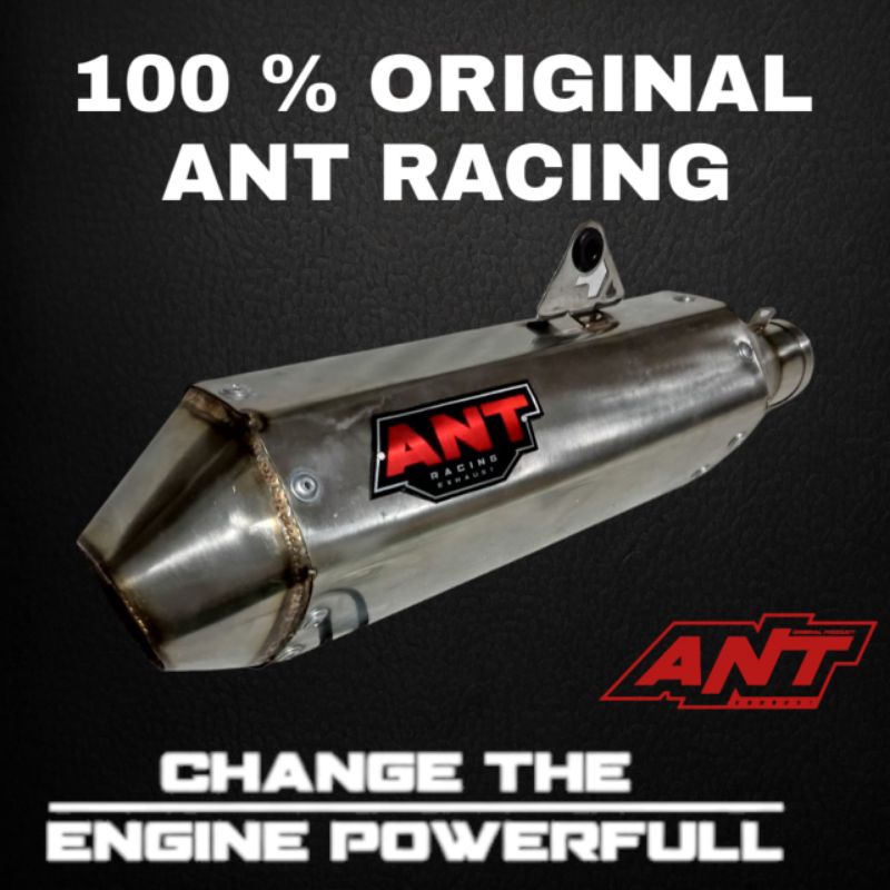 Silincer Ant KTM  Five Day Long