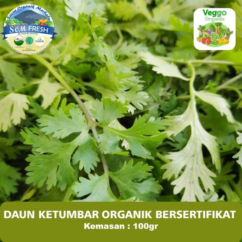 Daun Ketumbar Organik