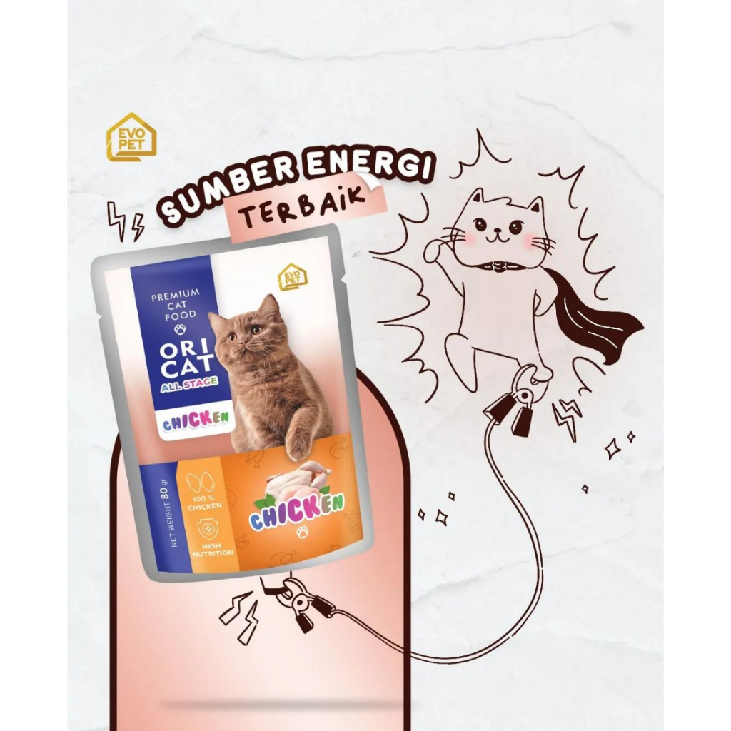 Ori Cat Pouch Wet Food 80gr Makanan Kucing Basah