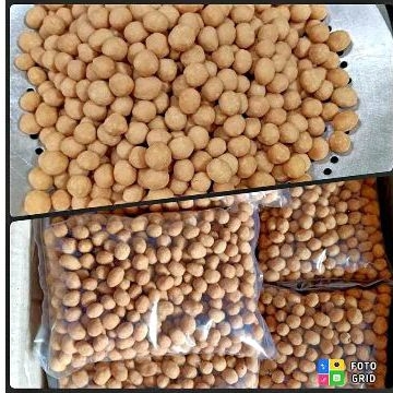

kacang telur