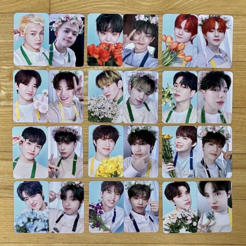[OFFICIAL] PHOTOCARD SHARING MD BLOOMING WELCOME BOOK BLOOMING PHOTOCARD TOPLOADER KIT TINCASE TREAS