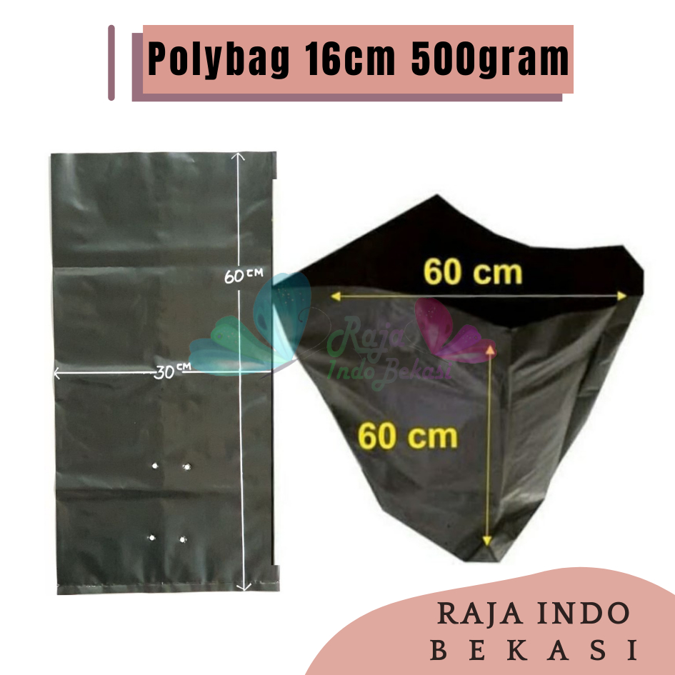 Polybag Polibek 60x60cm Polibag Besar 60x60 Cm Kualitas Bagus Grosir