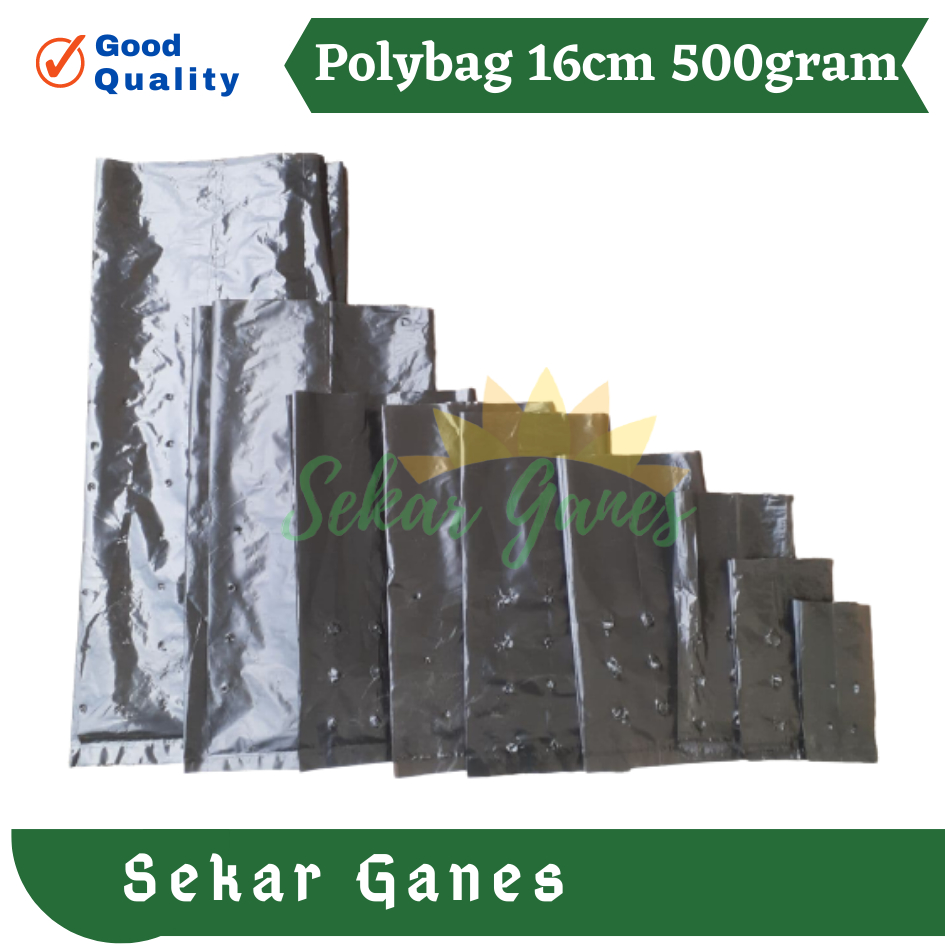 Polybag Polibek 60x60cm Polibag Besar 60x60 cm Kualitas Bagus Grosir