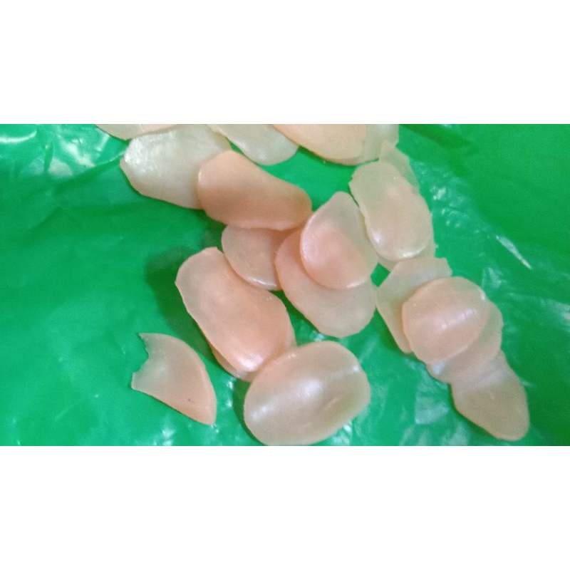 

krupuk udang
