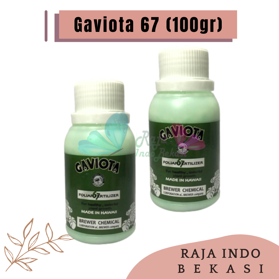 Gaviota 63 100 Gram dan 50 Gram Kemasan Repack untuk Bunga Anggrek - Pupuk Pembungaan Anggrek