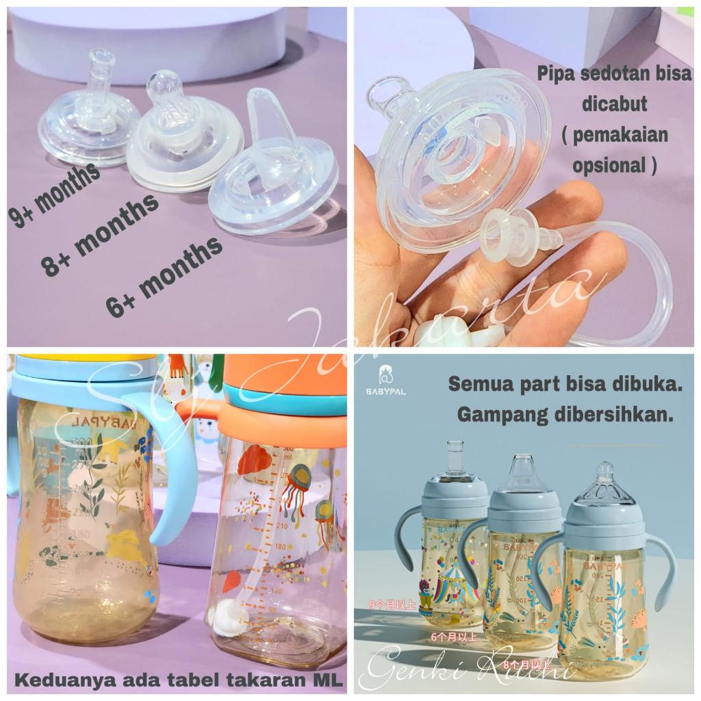 BOTOL MINUM ANAK BABYPAL BPA FREE  PP - PPSU BPA FREE DENGAN 3 PCS DOT