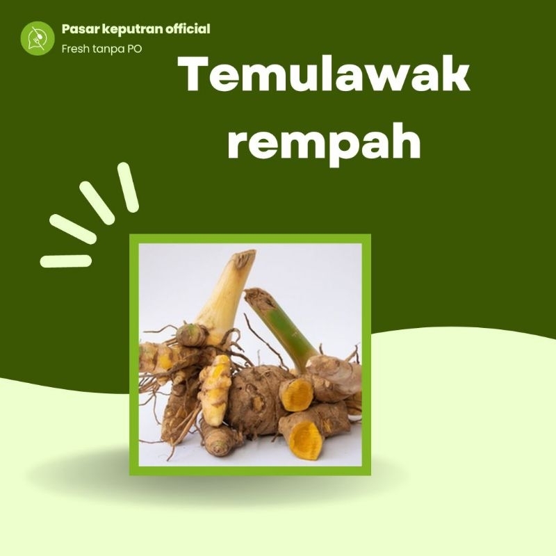 

Temulawak segar 500gr, temulawak,temulawak fresh