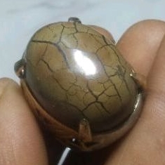 JUMBO BATU SISIK NAGA ENREKANG SULAWESI 100% ASLI ALAM UNIK KARAKTERISTIK ORIGINAL EMBAN TITANIUM UK