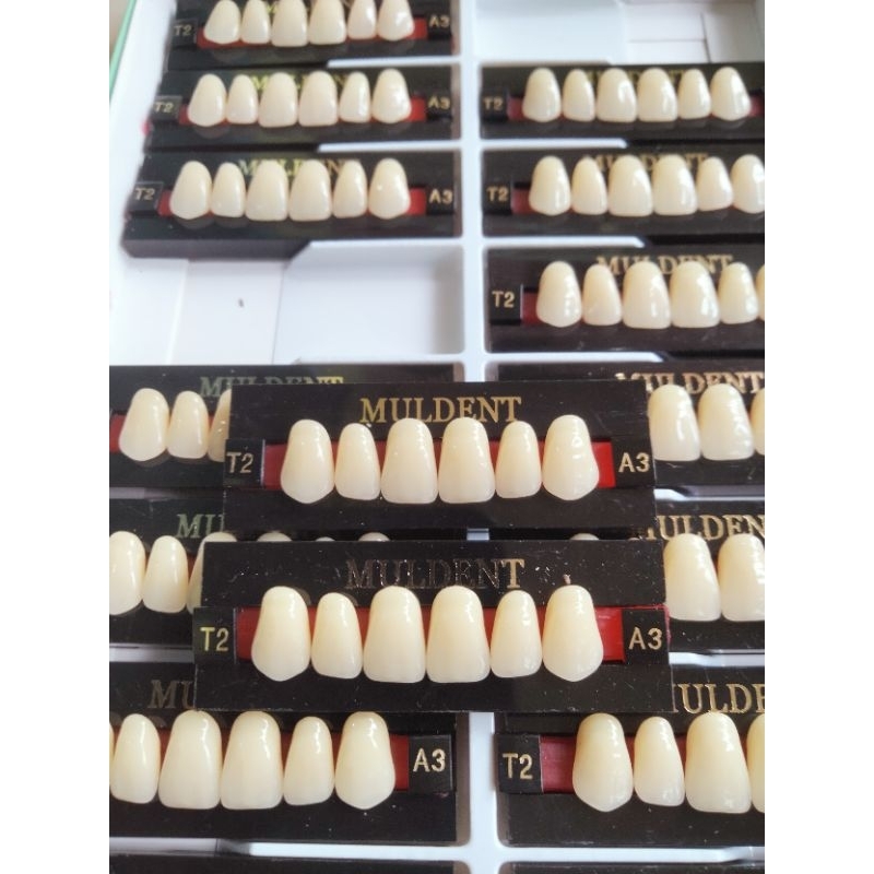gigi palsu merek muldenlt (depan atas dan depan bawah),satu papan