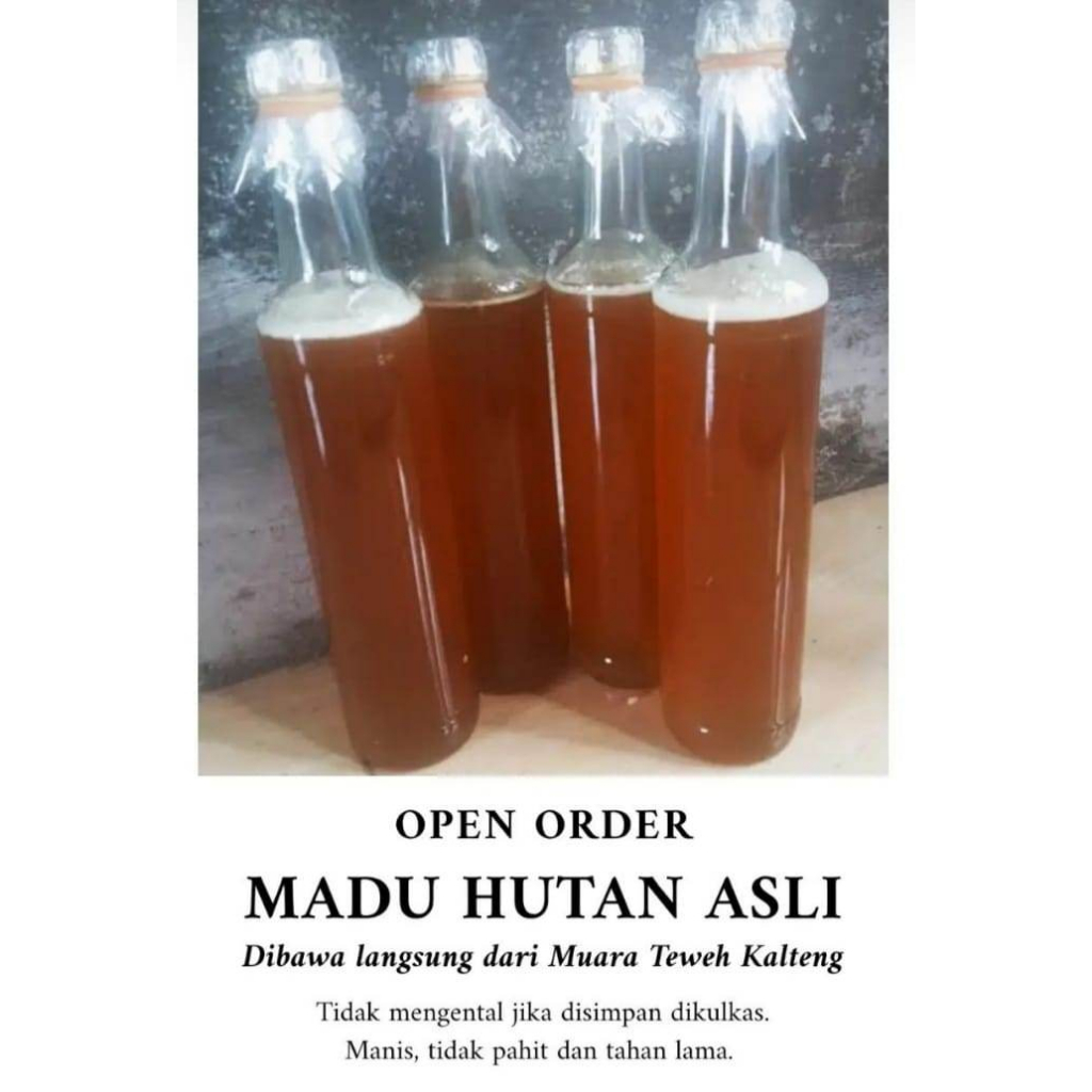 

Madu Hutan asli Kalimantan 1 botol