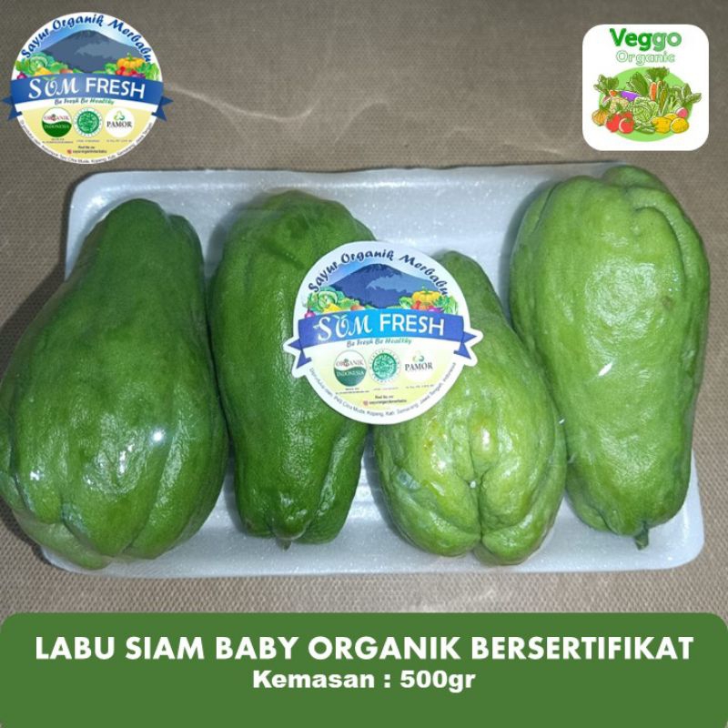 

Labu Siam Baby Organik