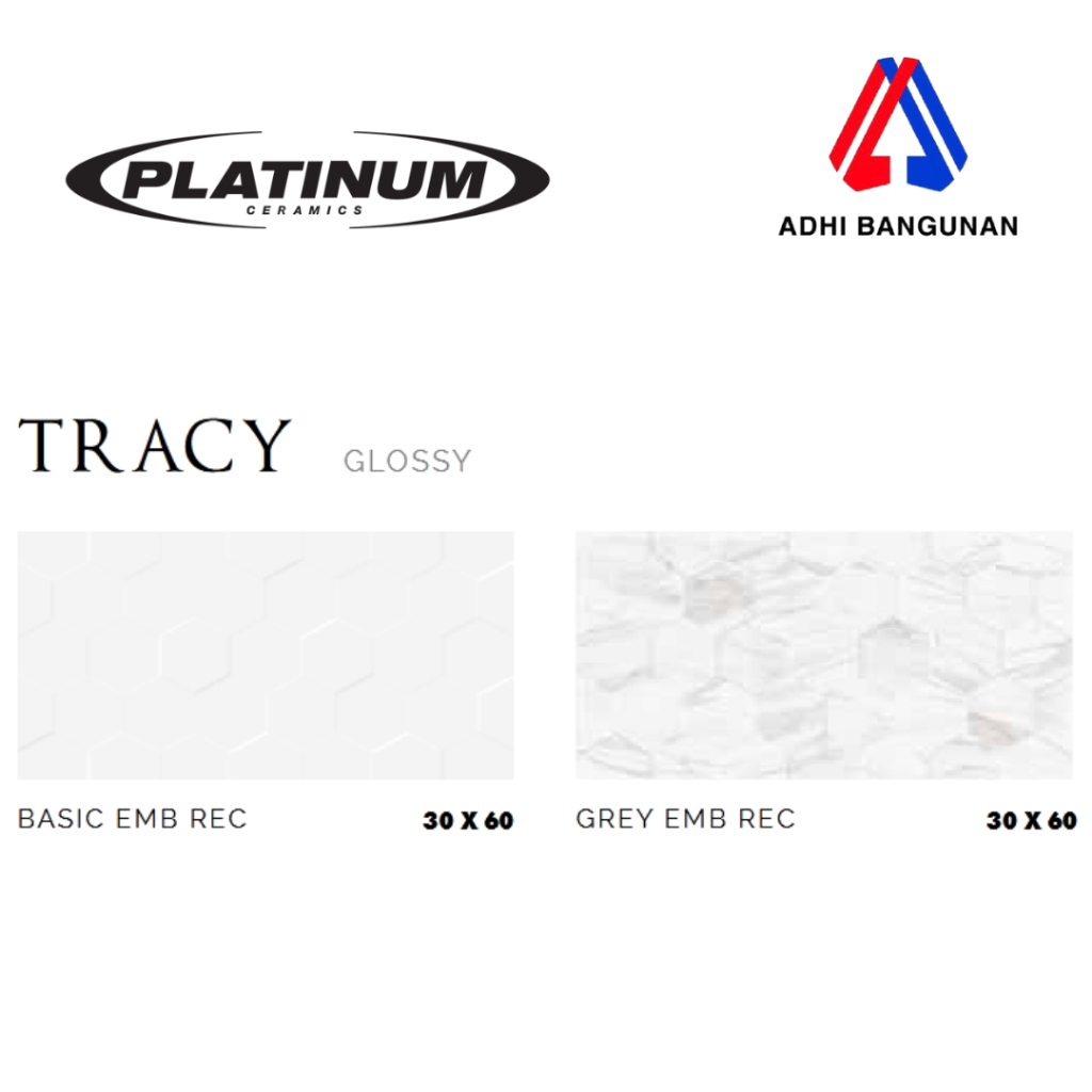 PLATINUM Keramik 30x60 - TRACY Series