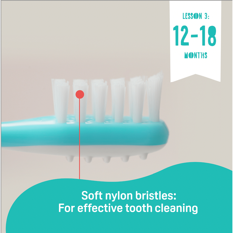 Pigeon Baby Training Toothbrush Set Lesson 1-3 Sikat Gigi Bayi 6-18 Bulan