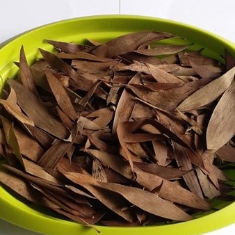 

TERBAIK HERBAL DAUN KAYU PUTIH KERING- 1 KG