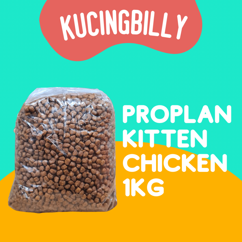 Proplan Kitten 1kg makanan kering anak kucing