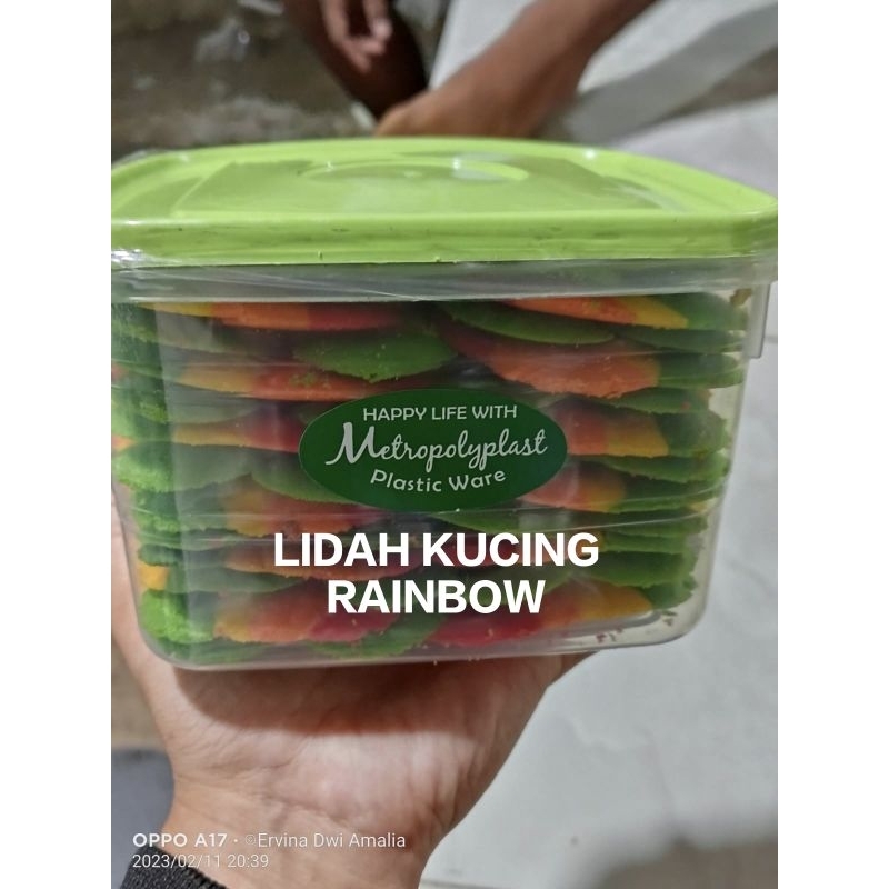 

LIDAH KUCING RAINBOW