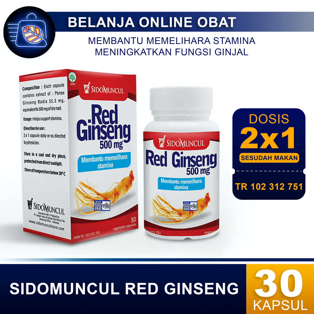 SIDO MUNCUL RED GINSENG // Membantu Meningkatkan Vitalitas Pria