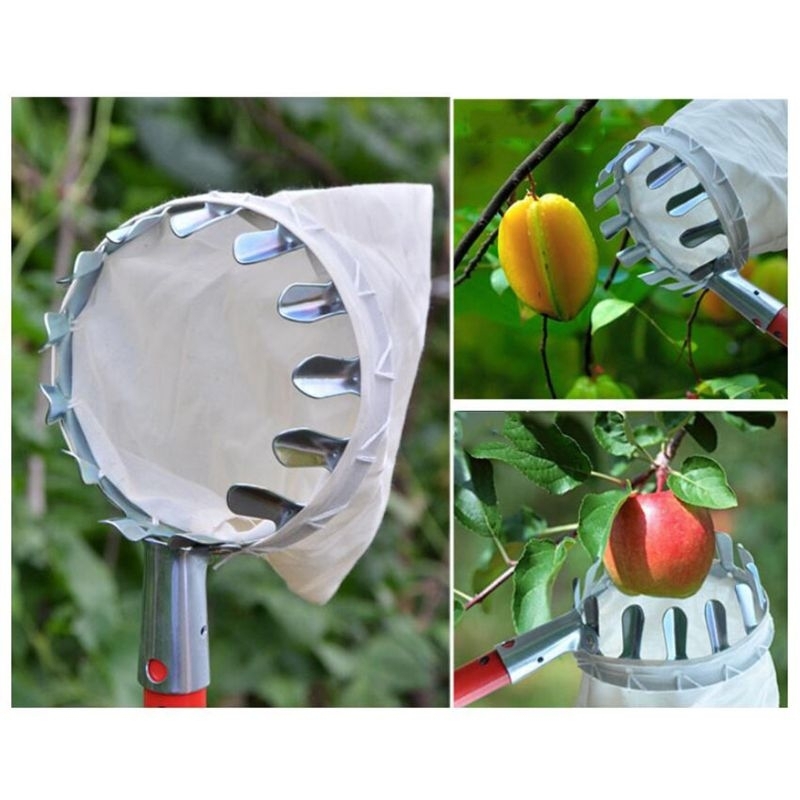 Alat Pemetik Buah Metal Fruit Picker Alat Petik Pemanen Buah 14 cm