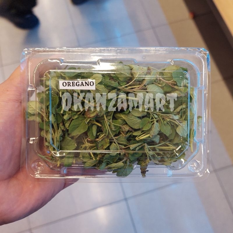 

Daun Oregano Fresh 1Pack